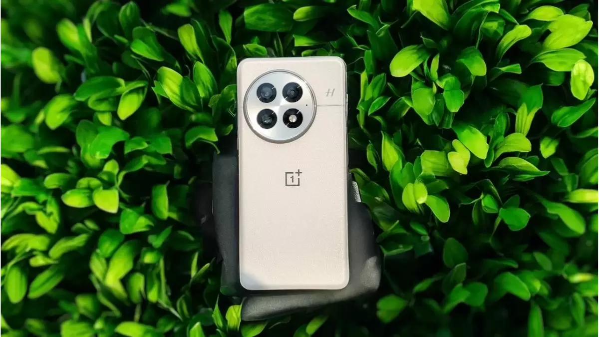 OnePlus 13