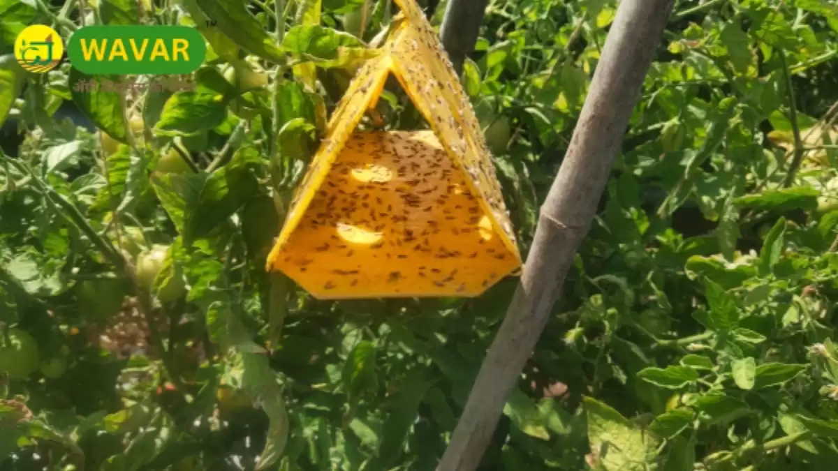 Agritech