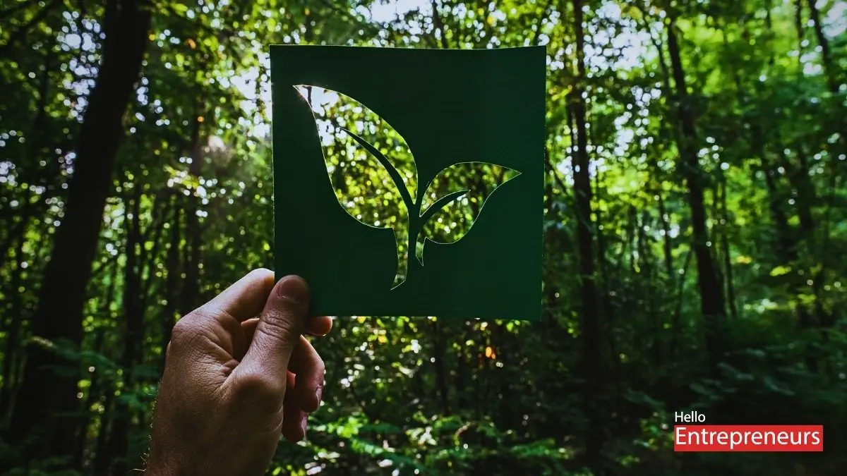 Green Gold Startups Are Turning Sustainability into Scalable Profit