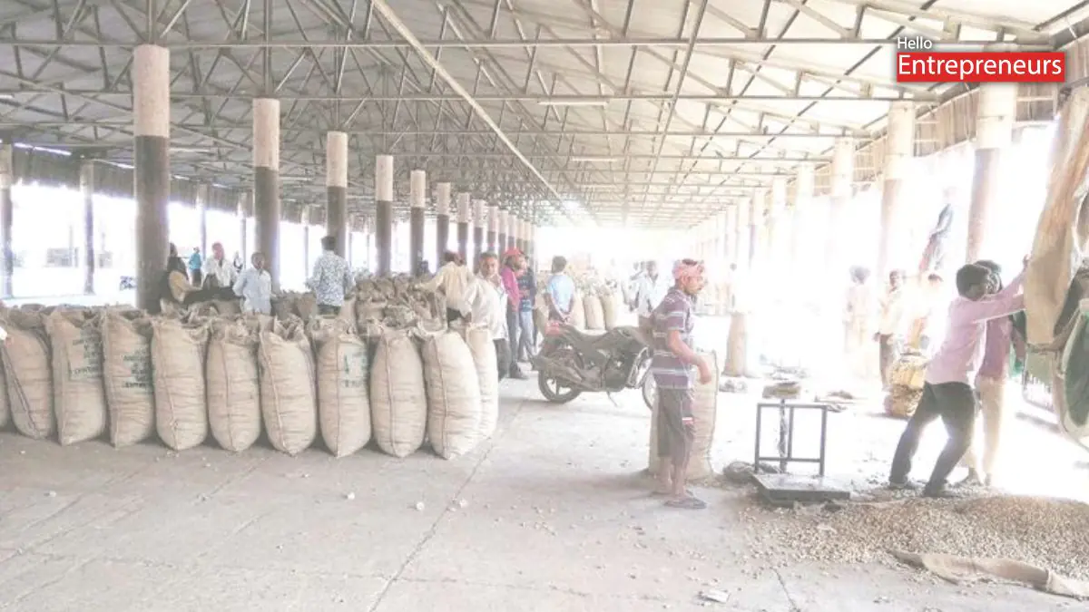 Gujarat Govt delays Groundnut procurement