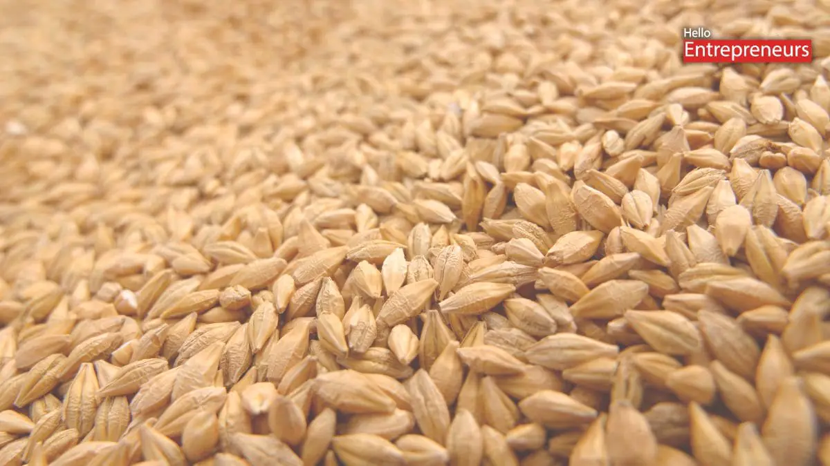 10 essential commodities: Wheat