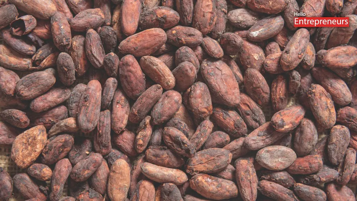 10 essential commodities: Cocoa
