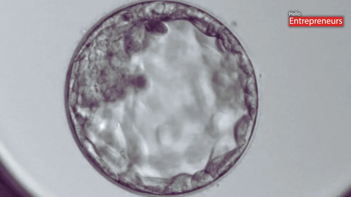 Air India IVF parents crash embryo future uncertain
