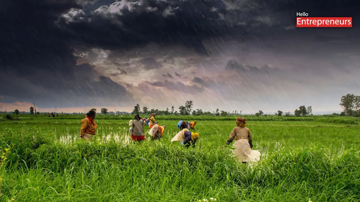 Farmers brace for unseasonal October rains