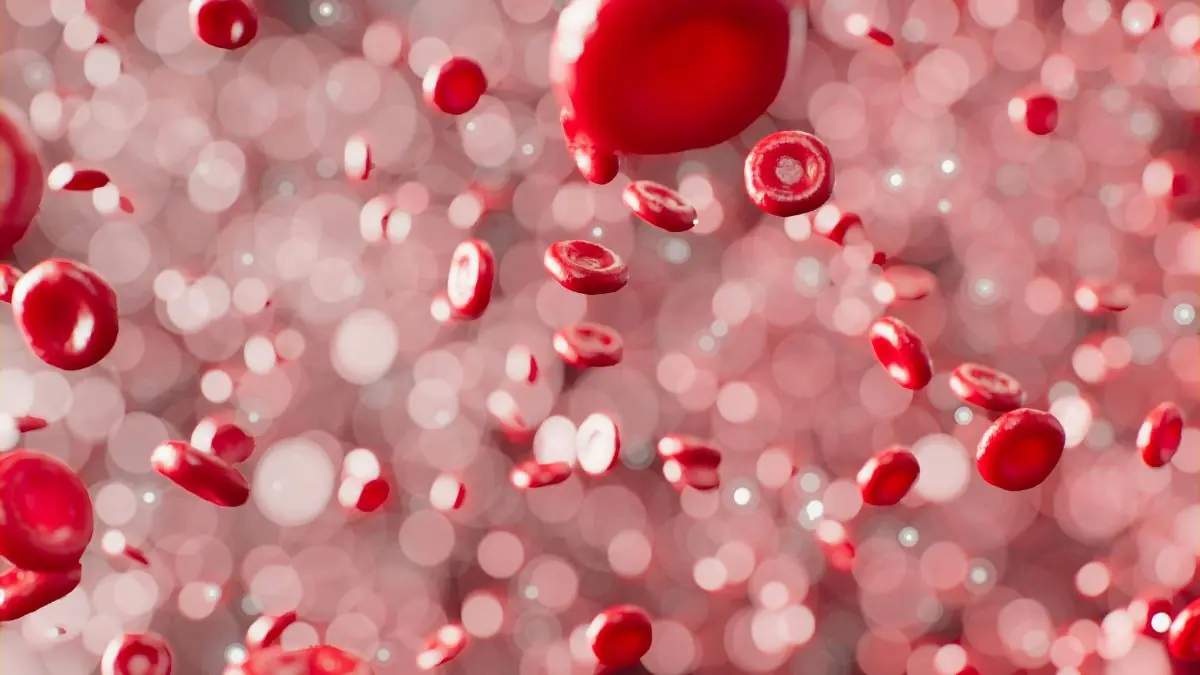 Sickle Cell
