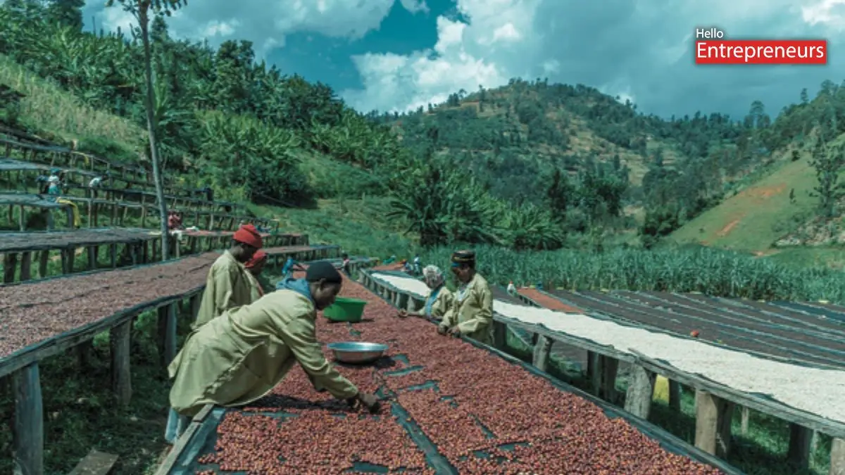 Sustainable Global Business Practices