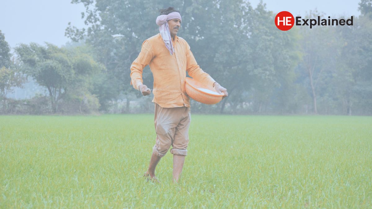Explained: How we are more dependent on imports for our food than you think