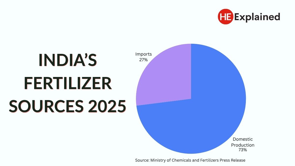 How we are more dependent on imports for our food than you think 