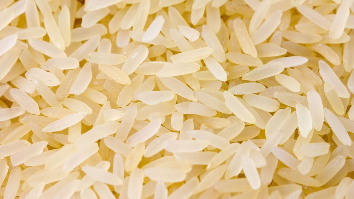 Kkhavo Expands into Premium Rice Segment with Heritage Kala Namak Rice