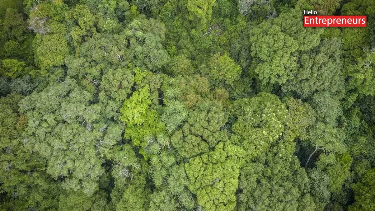 National Biodiversity Authority unlocks ₹15.52 Crore ABS proceeds from Mustard Genetic Resources