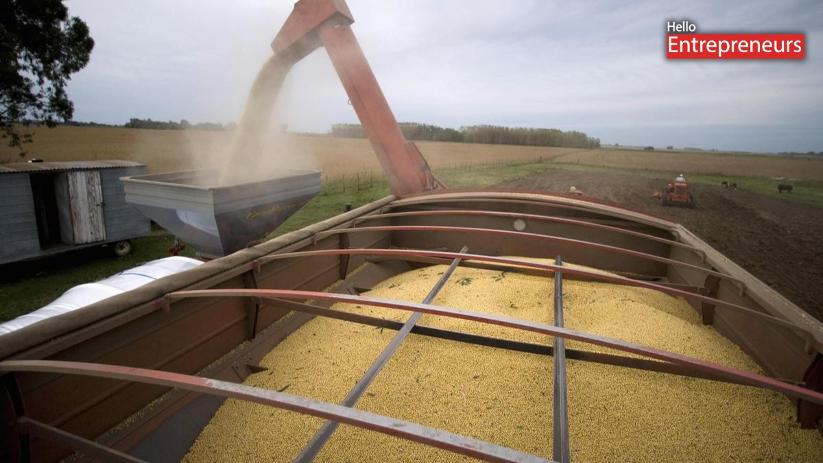 India’s Soyoil imports set to hit record high as Russia-Ukraine War disrupts sunflower oil supply