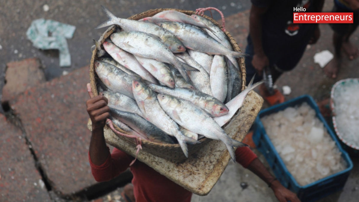 India sends 500 tonnes of Hilsa fish to Bangladesh: A big change in trade