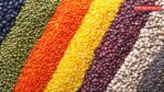 Shri Chouhan Approves ₹5,547.99 Crore PSS Procurement Plan for Pulses and Oilseeds in Kharif 2026-27