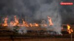 CAQM Reviews Measures to Prevent Stubble Burning and Control Vehicular, Industrial Emissions