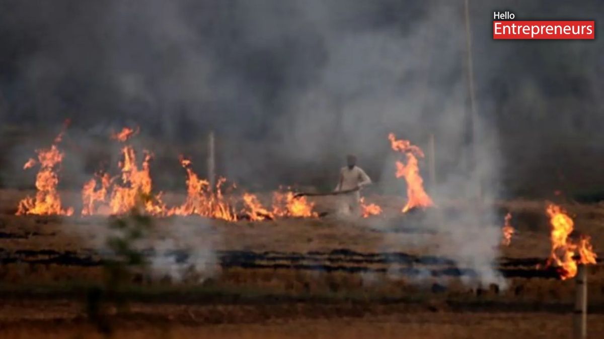 CAQM Reviews Measures to Prevent Stubble Burning and Control Vehicular, Industrial Emissions