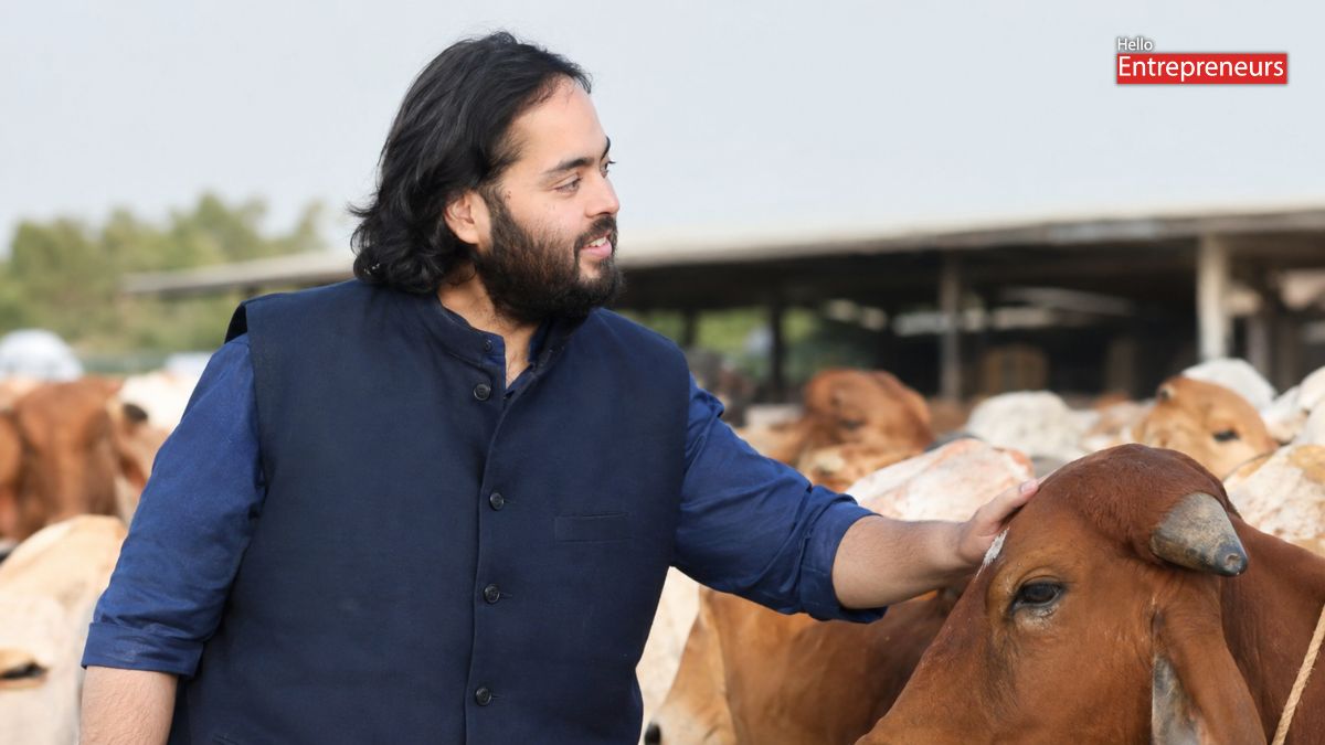 Anant Ambani’s Cow Rescue Claims Go Viral: 9 Lakh Cows, 100 Ambulances and What Social Media Is Saying? Anant Ambani’s Cow Rescue Claims Go Viral: 9 Lakh Cows, 100 Ambulances and What Social Media Is Saying?