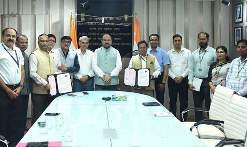 ICAR and FCI Collaborate to Ensure Safe and Sustainable Foodgrain Storage