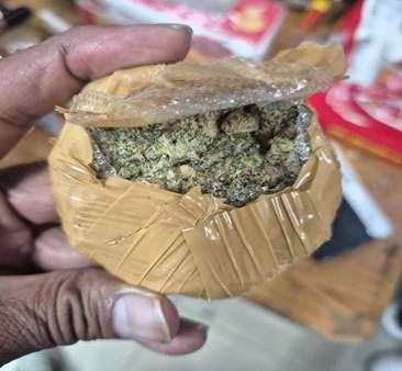 CBN Rajasthan Unit Seizes 1.080 Kg Hydroponic Ganja Hidden in International Parcel from Thailand